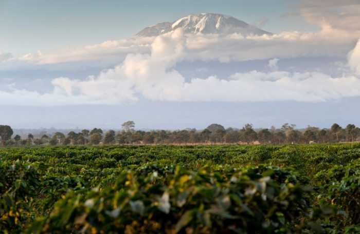 Kilimanjaro Water and Food for All_1