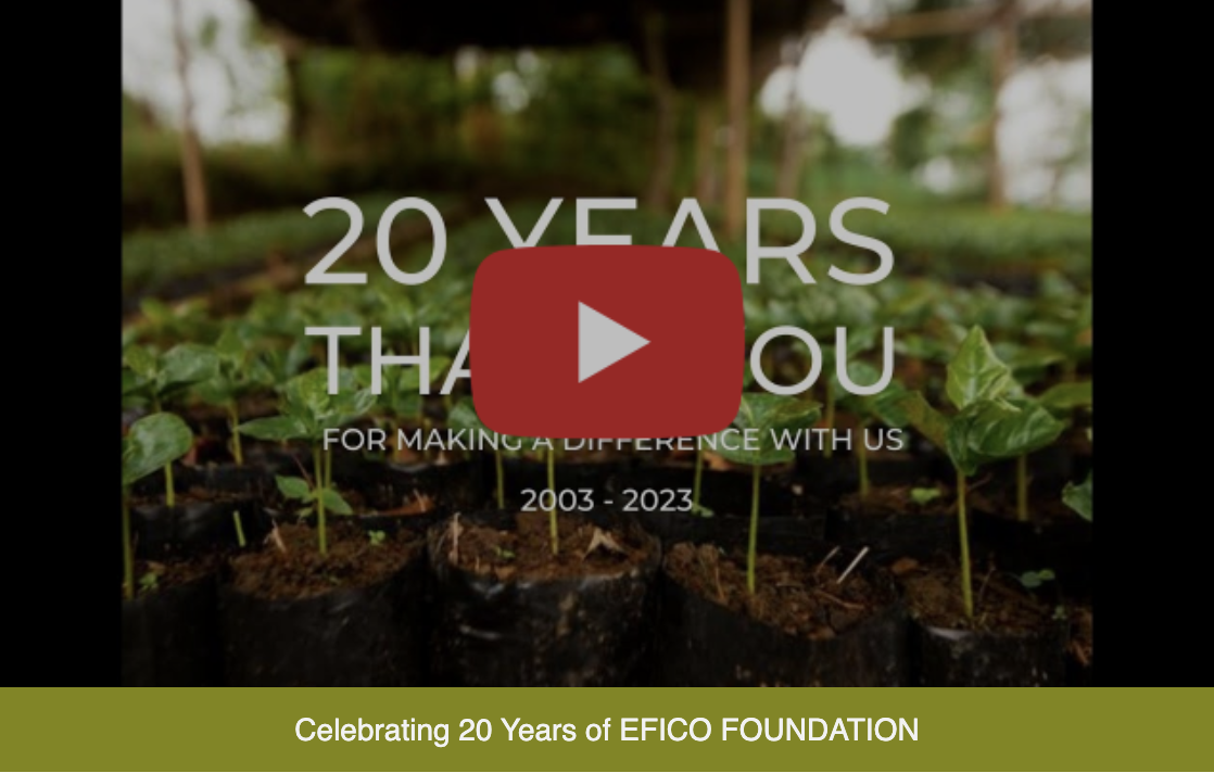 20 YEARS OF EFICO FOUNDATION