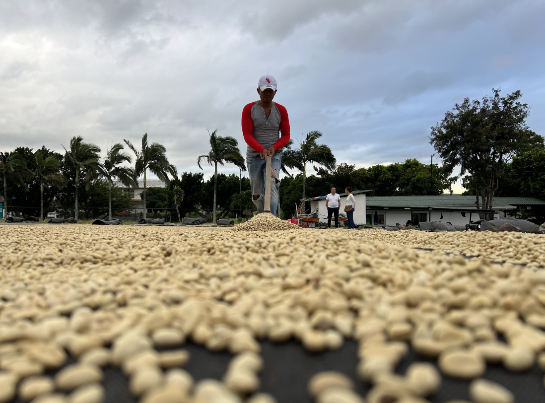 EFICO Green Coffee FIELDTRIP Honduras & Nicaragua